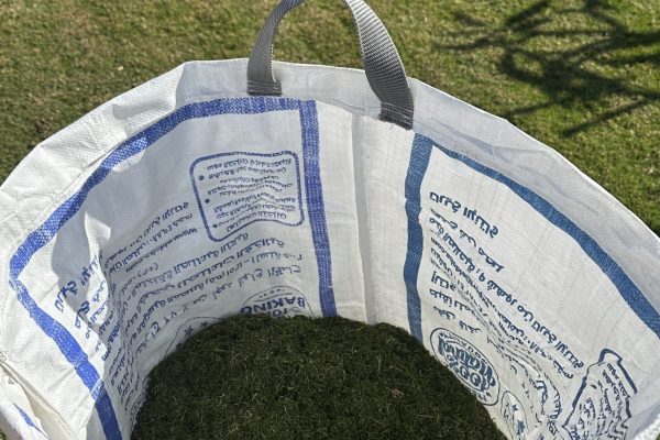 sustainability-at-jaz-hotel-group-3 sustainability-at-jaz-hotel-group-3