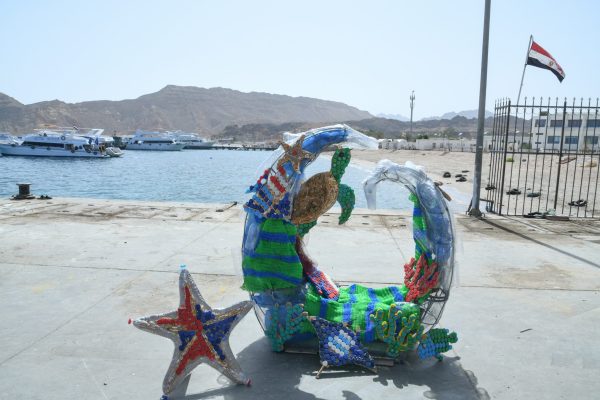 champions-sustainability-through-community-8